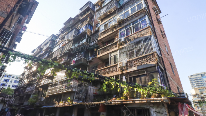 小桃花巷外景图