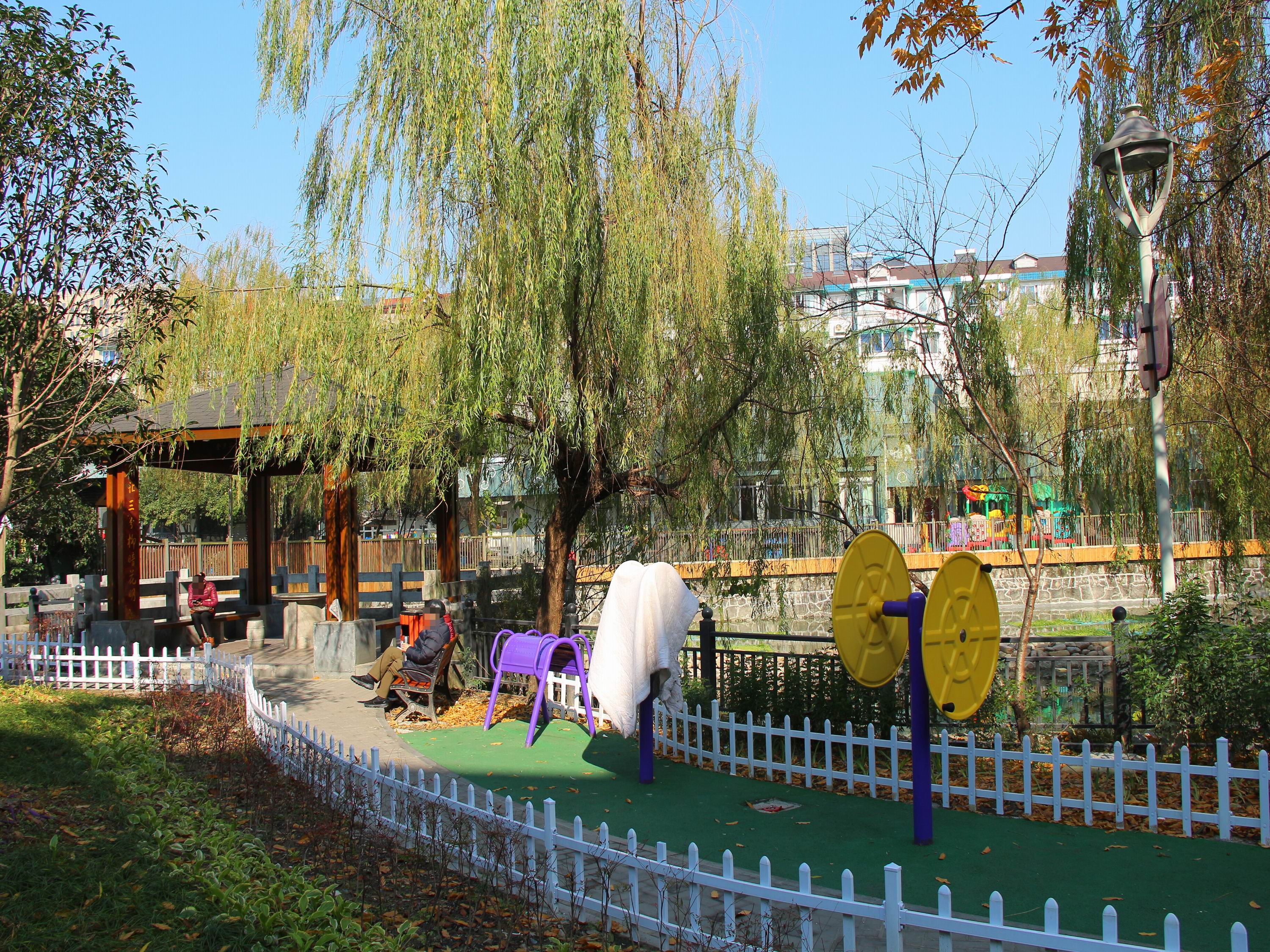 古荡新村东区小区实景 24