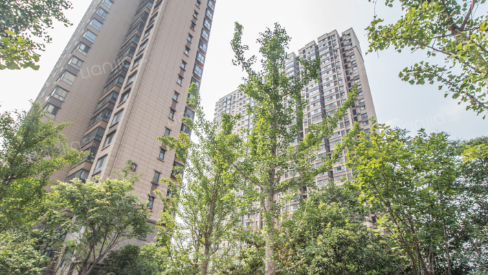 新芒果春天苑外景图