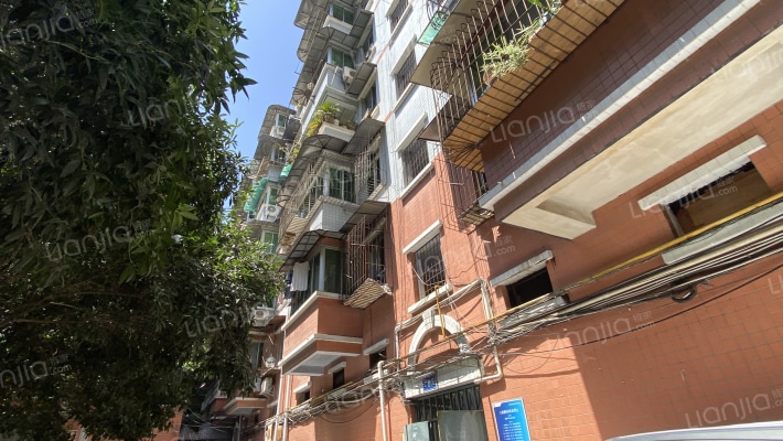 文体小区外景图