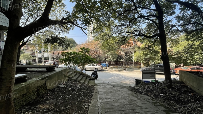 桃园路59号外景图