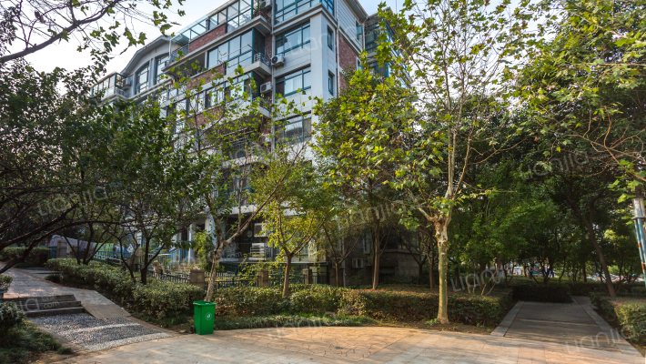 翠屏国际水杉苑外景图