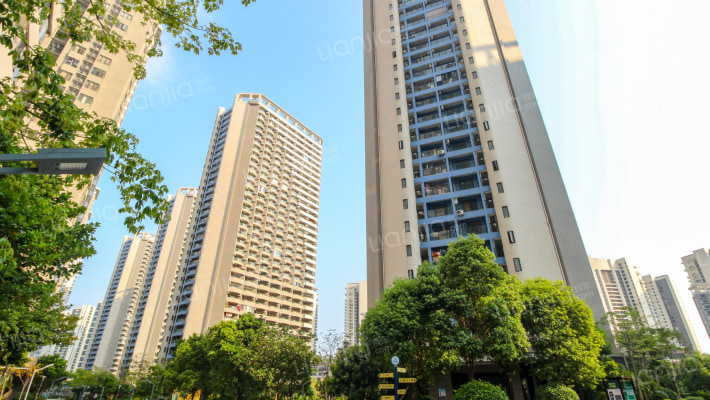 小径海岸城花园外景图