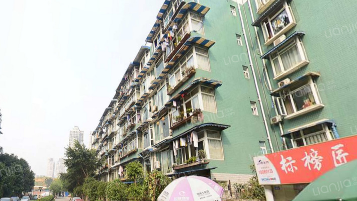 恋日家园D区外景图