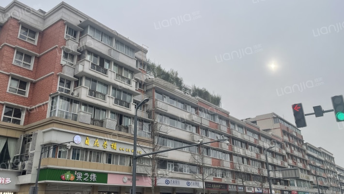 灵龙路295号外景图