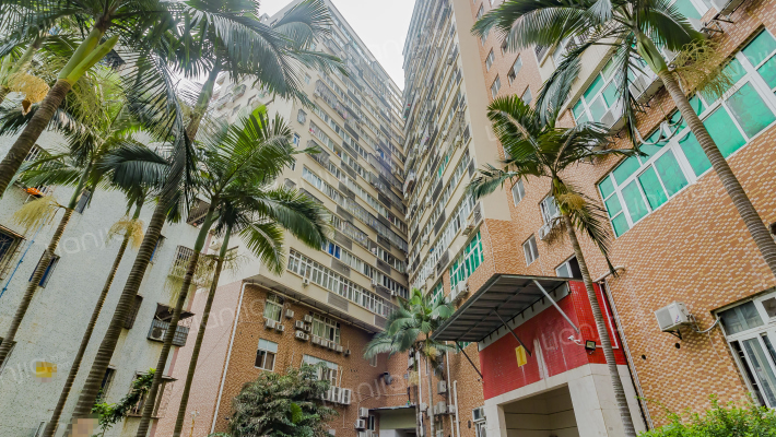 金典故事外景图