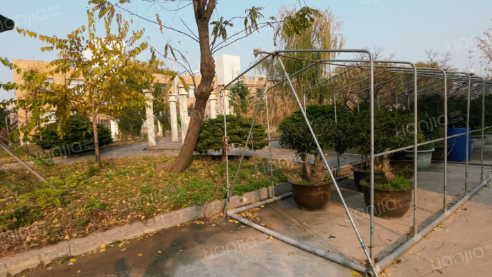 闲庭雅舍外景图