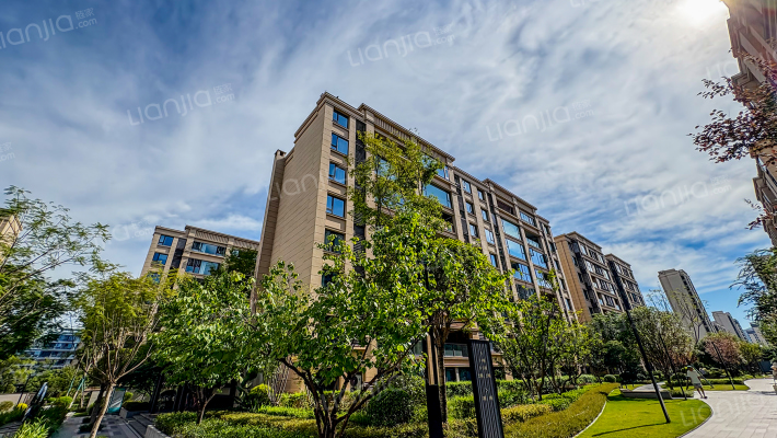 金辉金科天宸云著外景图