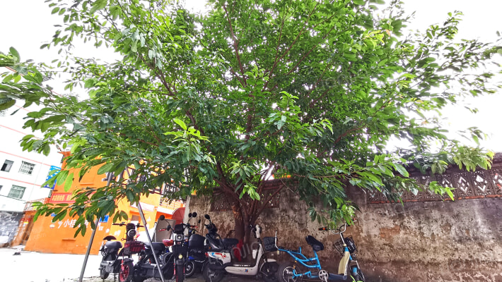 正泰大厦外景图