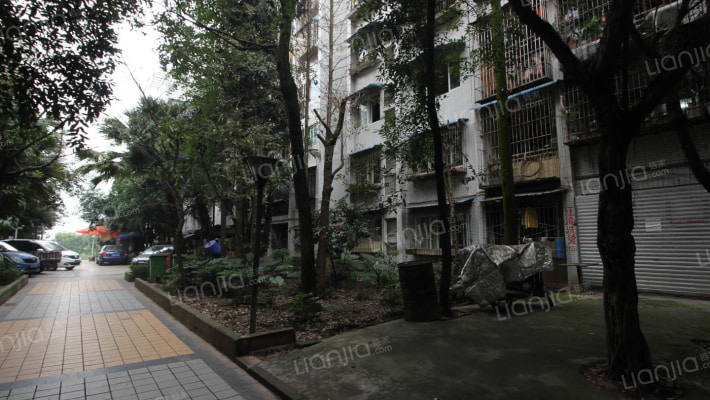 金色阳光(渝北)外景图