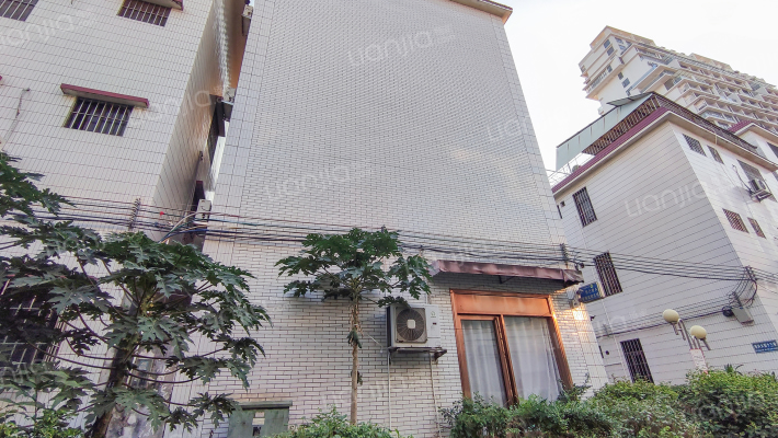 见龙里3号外景图