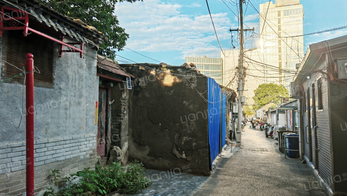 棉花下二条外景图