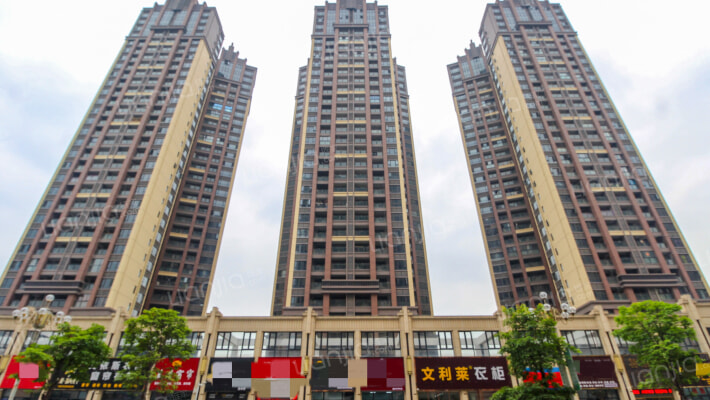 盛世丰华外景图