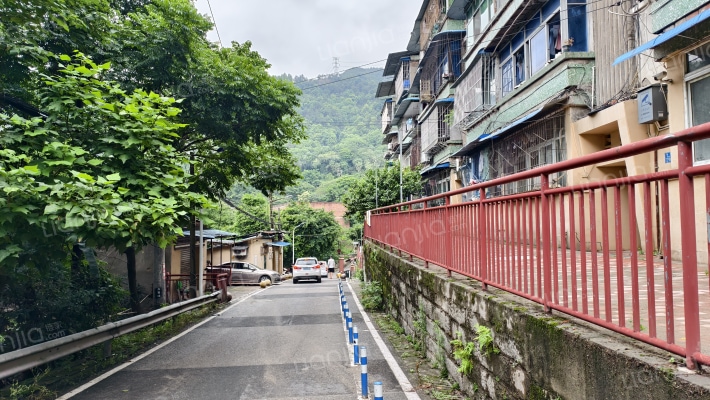 和平山雅林荟外景图