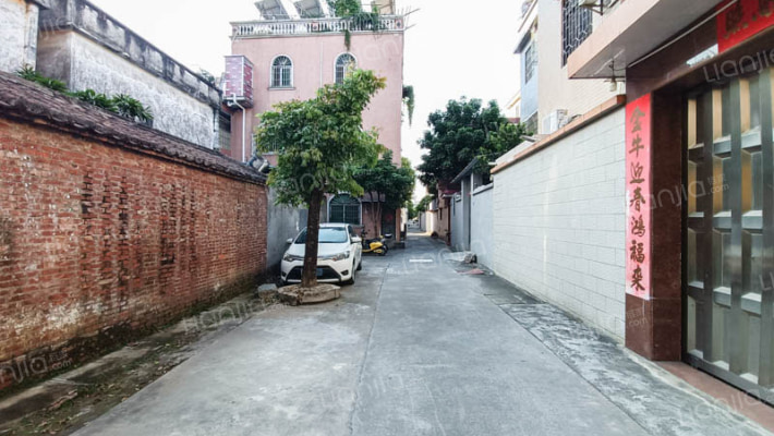 中山市东凤镇兴华西路建新街54号外景图