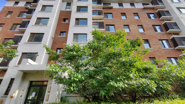 龙城公馆外景图