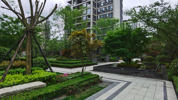 凤起兰庭外景图