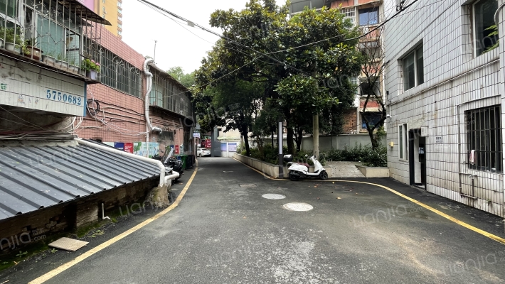 大营路217号外景图