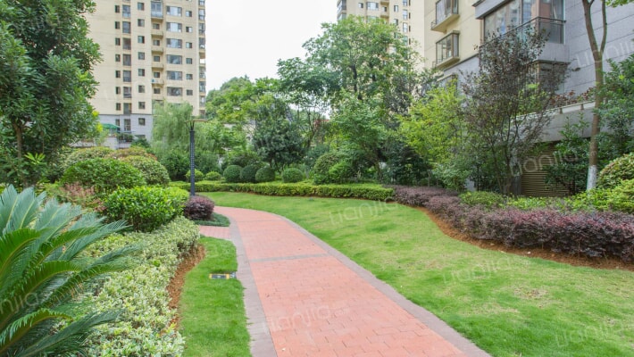 国际城H2组团外景图