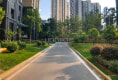 福星惠誉水岸国际时代上城户型图实景图