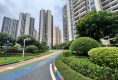 碧桂园四季阳光户型图实景图