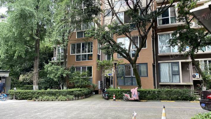 川大农林村外景图