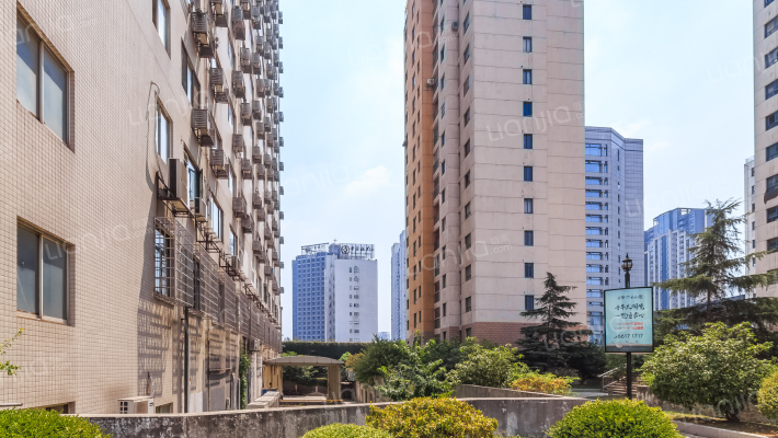 狮山丽晶外景图