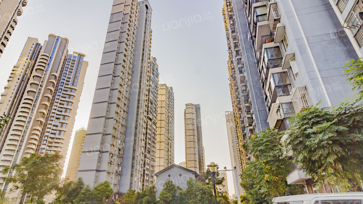 铂金天地外景图