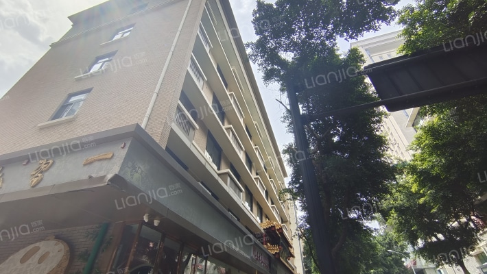 金丝街12号外景图