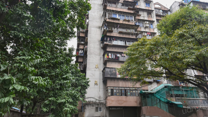 市政东苑外景图