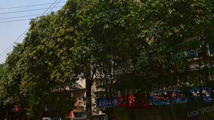 省建六公司宿舍外景图