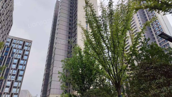 仁恒城市星光雅苑外景图