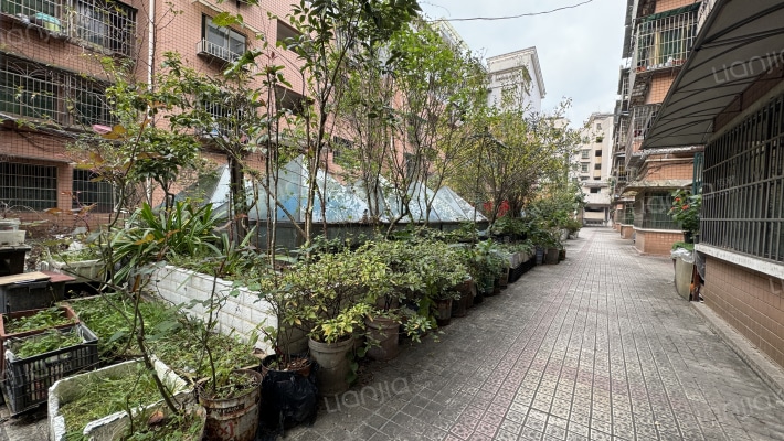 公交美好家园外景图