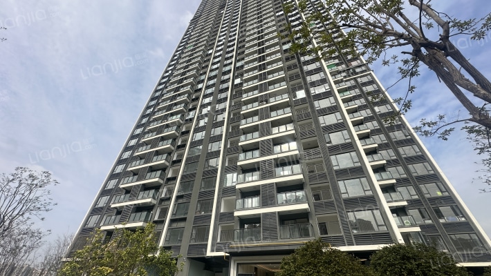 金地商置都会峯范外景图