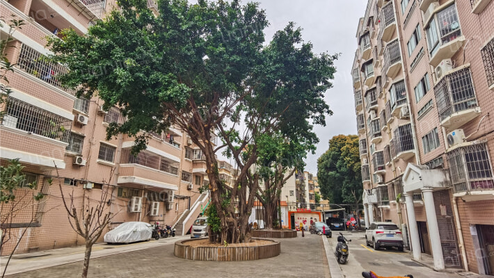 日东电厂生活小区外景图