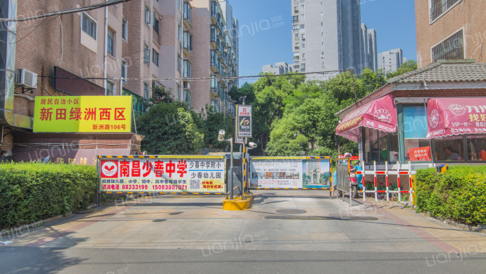 新田綠洲西區外景图