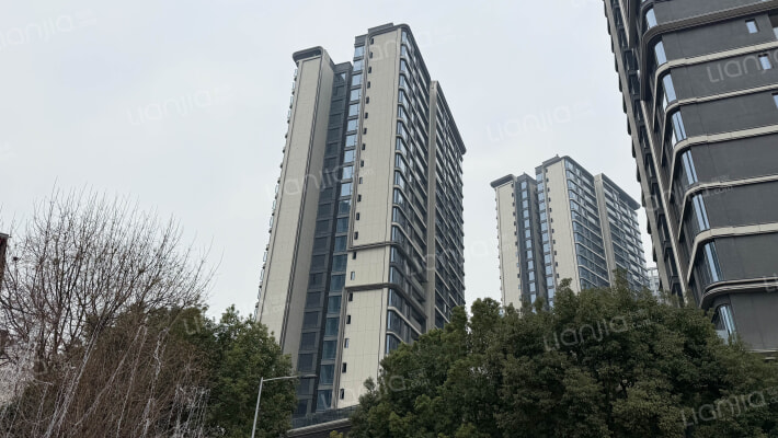 海成长江天玺外景图