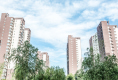 金顶阳光户型图实景图
