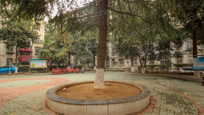 武重明珠苑外景图