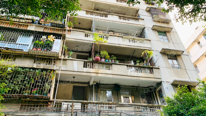 卫国西路外景图