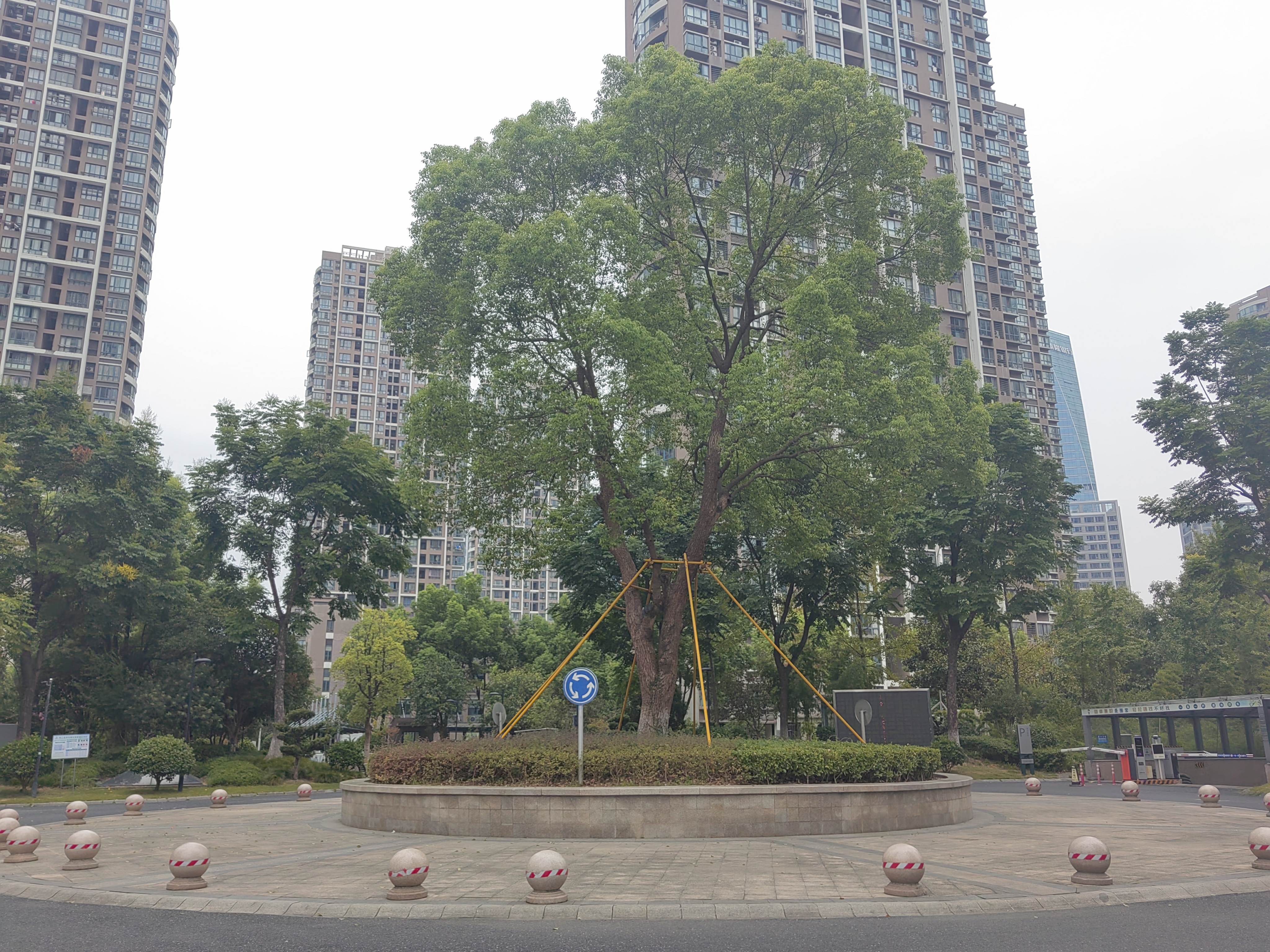Lier Huayuan compound photo 5