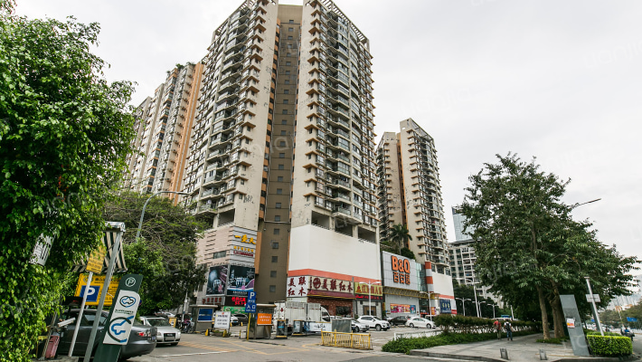 荔林春晓外景图