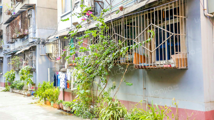 水碾河南三街39号外景图