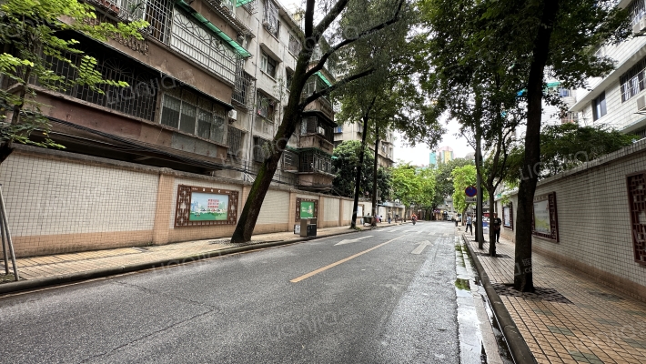 北较场横路外景图