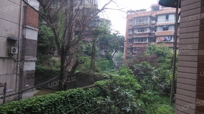 滩子口正街56号外景图