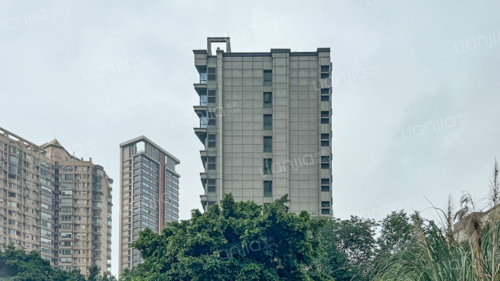 凯悦新城外景图