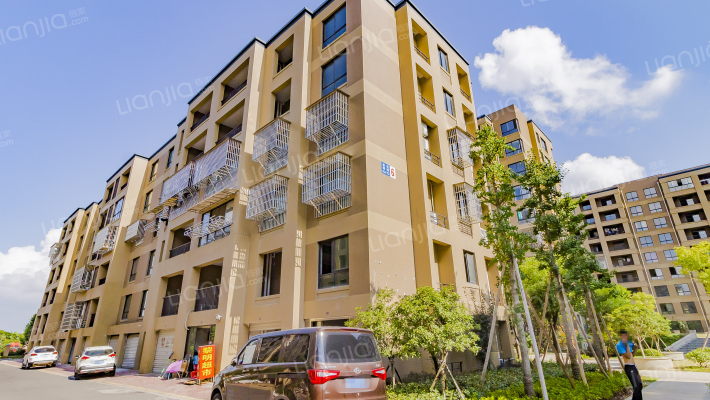 金色黎明外景图