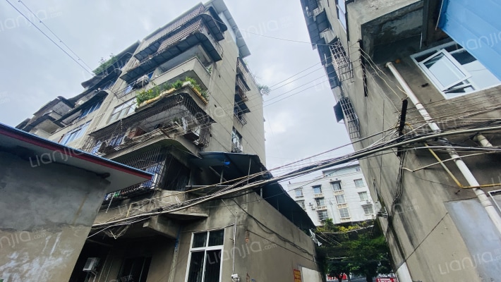 林产公司外景图