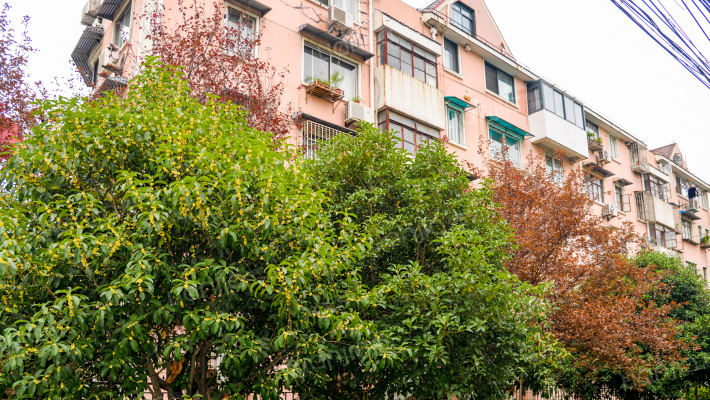 高雅新村外景图