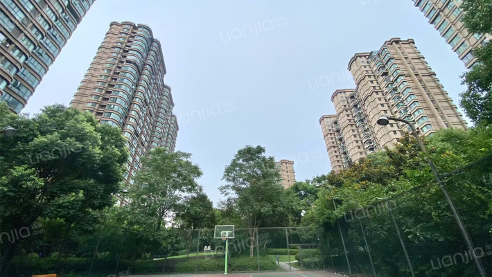 金宸国际花园外景图